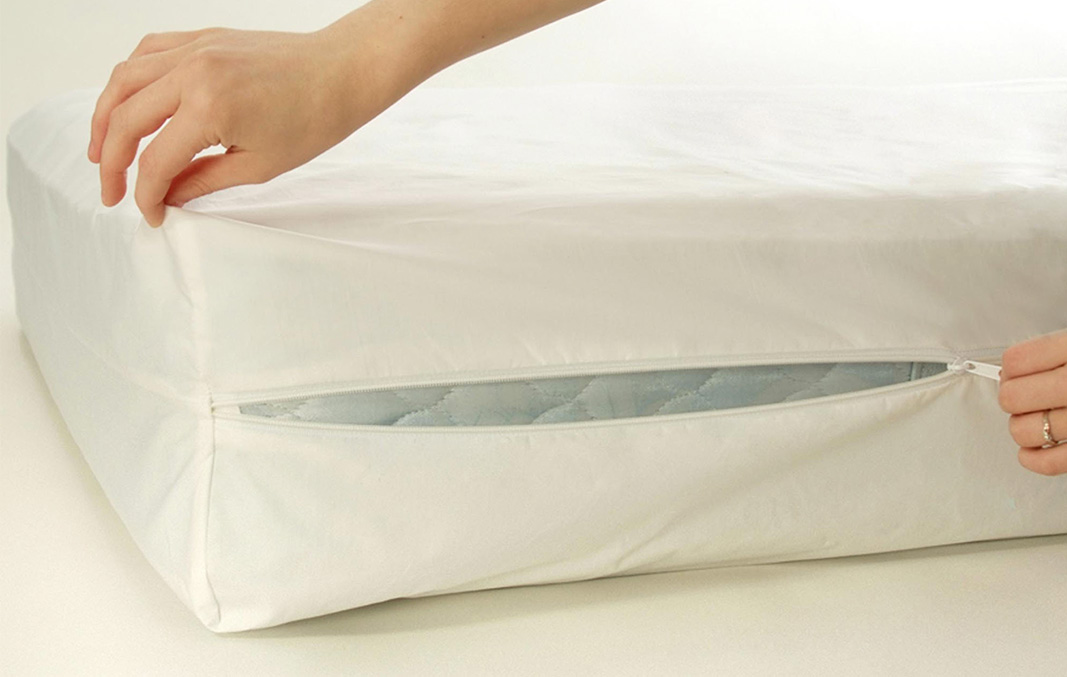 bed bug protectors for mattresses