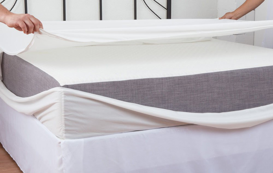 bunk mattress bed bug protector